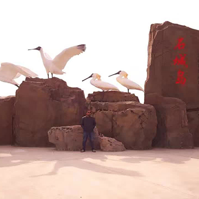大连青青草免费观看
